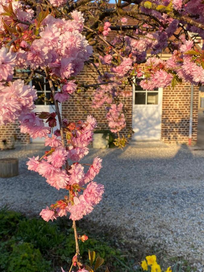 Le Domaine Des Saules Villa Richebourg  Exterior photo